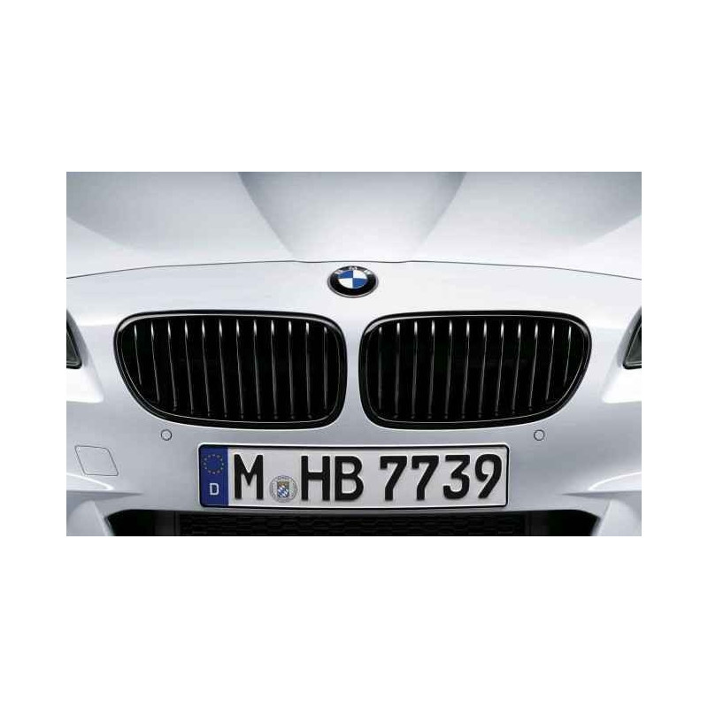 BMW M Performance Frontziergitter hochglanz-schwarz 5er F10 F11