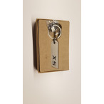 BMW Schlüsselanhänger X5