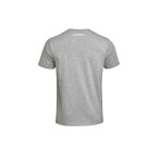 Rückansicht des BMW Motorrad Motorsport Herren T-Shirts in grau/melange