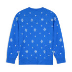 Rückansicht des BMW M XMAS Sweaters Holiday mit festlichem Design.